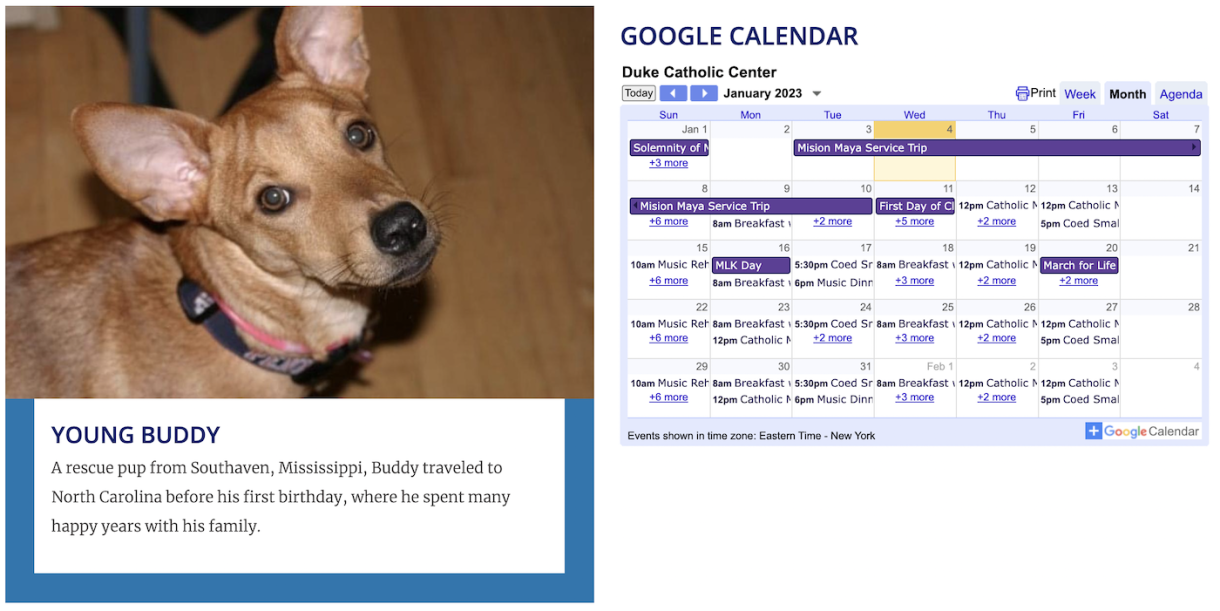 A two-column row with a dog on the left and an embedded Google Calendar on the right