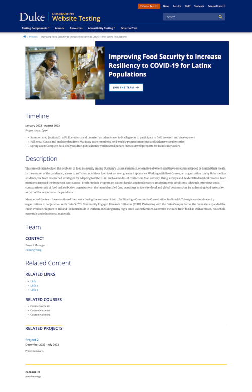 Individual project page, with headline and image at the top, followed by descriptive text