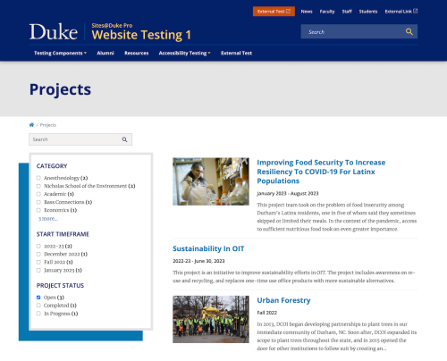 Sites@Duke Pro Projects List page – a filterable list of project abstracts